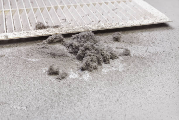 Best Air Duct Cleaning Near Me  in Town N Country, FL
